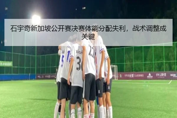 shi-yu-qi-xin-jia-po-gong-kai-sai-jue-sai-ti-neng-fen-pei-shi-li-zhan-shu-tiao-zheng-cheng-guan-jian-3-411.jpg