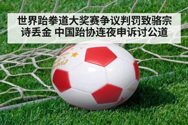 世界跆拳道大奖赛争议判罚致骆宗诗丢金 中国跆协连夜申诉讨公道