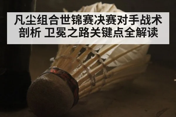 凡尘组合世锦赛决赛对手战术剖析 卫冕之路关键点全解读