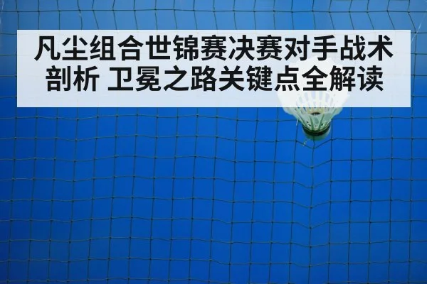 badminton net shot